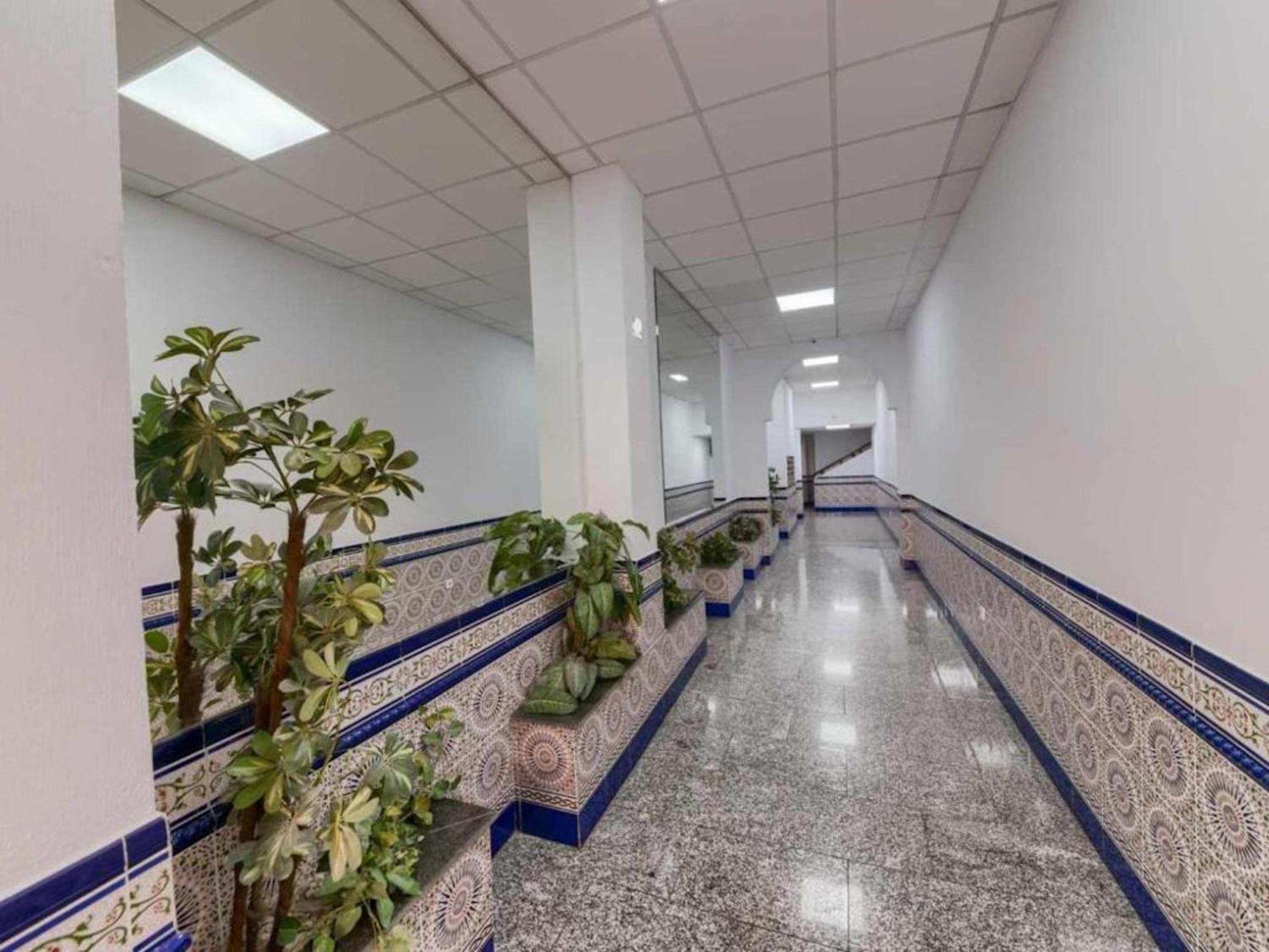 Holidays2malaga Train Station Area Apartament